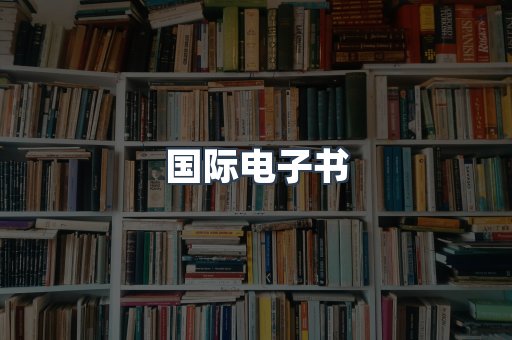 国际电子书